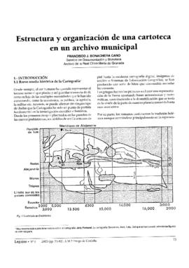 Estructura y organización de una cartoteca en un archivo municipal
