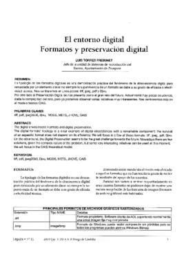 Entorno digital. Formatos y preservación digital